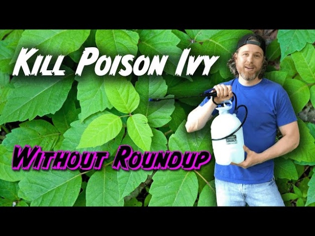 How To Kill Poison Ivy Without Killing Everything Else (Or