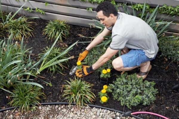 Unleash Your Inner Gardener: Effective Ways To Eliminate Unwanted Plants In Your Yard