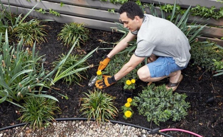 Unleash Your Inner Gardener: Effective Ways To Eliminate Unwanted Plants In Your Yard