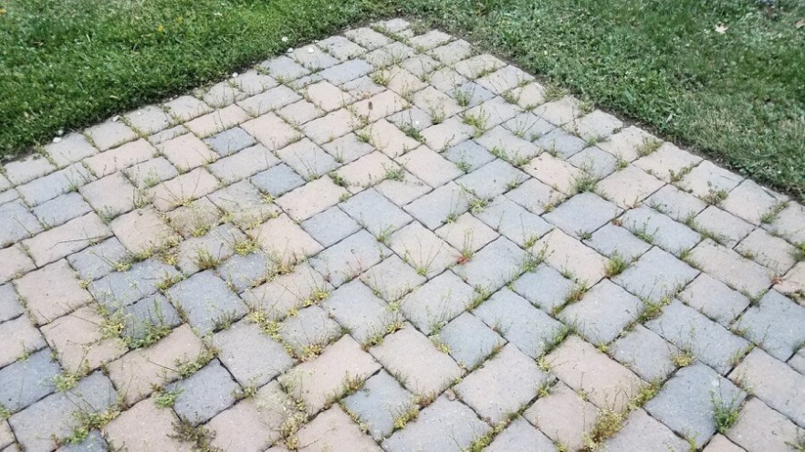 Ways To Prevent Weed Growth Between Paving Stones